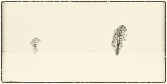 _MG_3659-Edit
