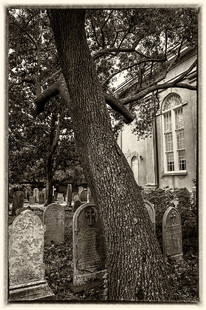 Charleston SC - DSC00503