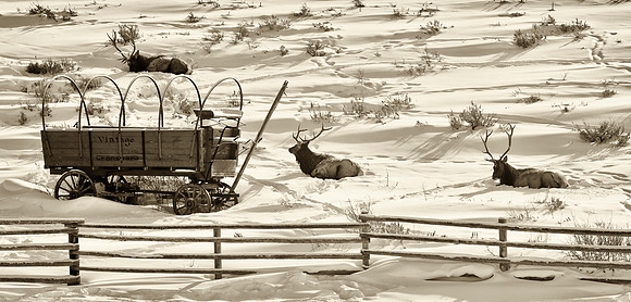Jackson Hole