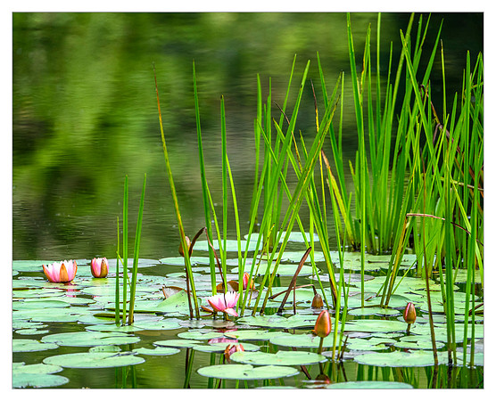 _DSC2985-Edit-Edit