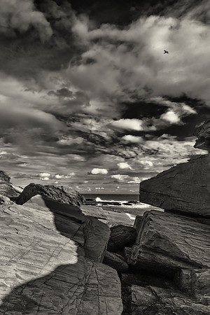 DSC01647-Edit