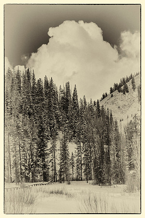 _MG_3425-Edit
