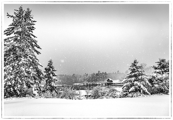 Oak Point Farm BRLT DSC8759-Edit-Edit